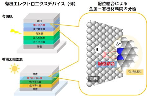 有機エレクトロニクスのための 高感度高精度水蒸気透過度 